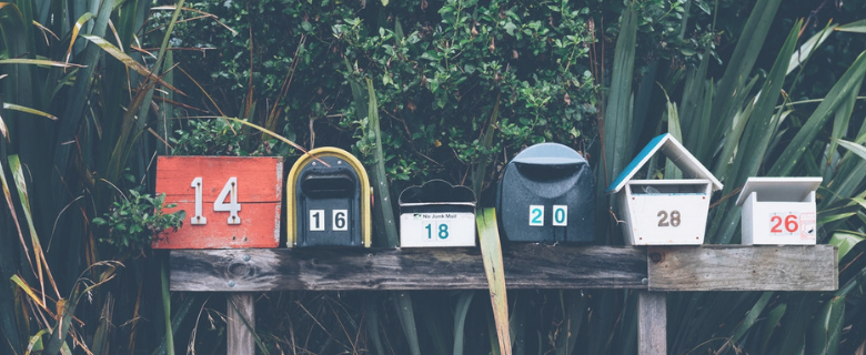 email newsletter signup